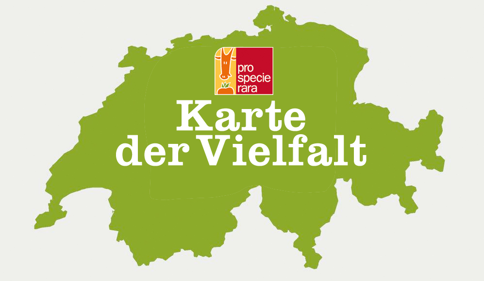Karte der Vielfalt