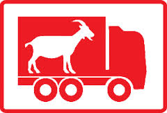 Tiertransport_BLV