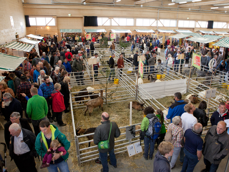 tier-expo 2016